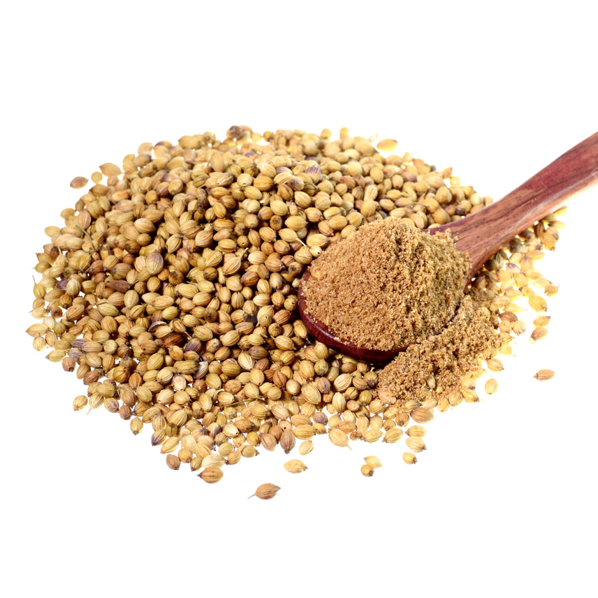 Coriander Seeds 1