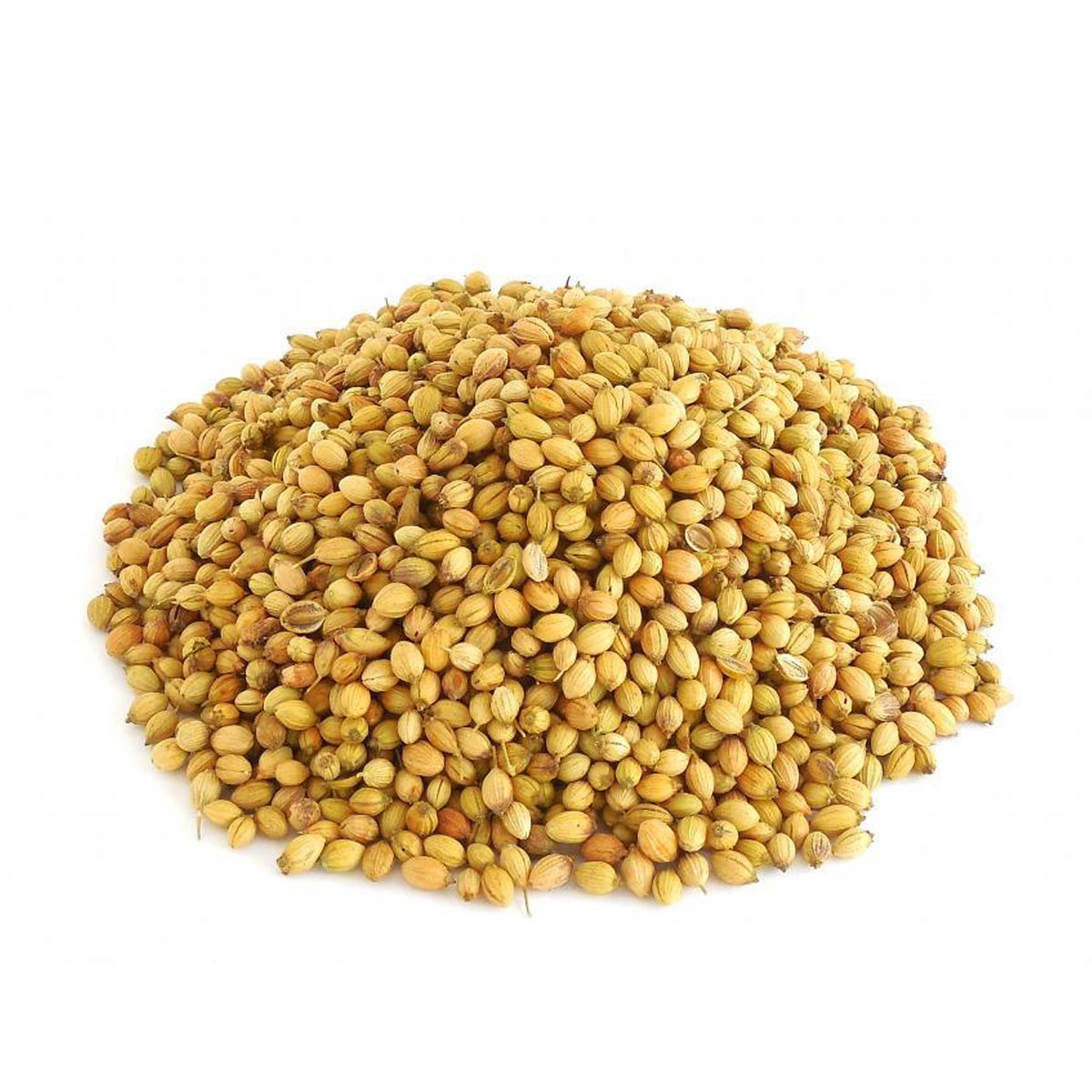 Coriander Seeds 2