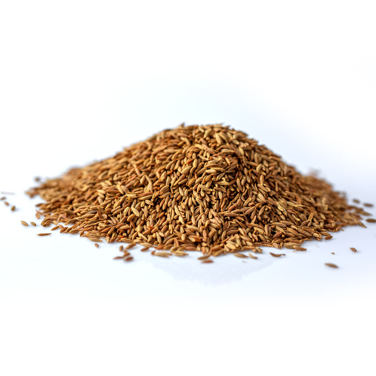 Cumin Seeds 2