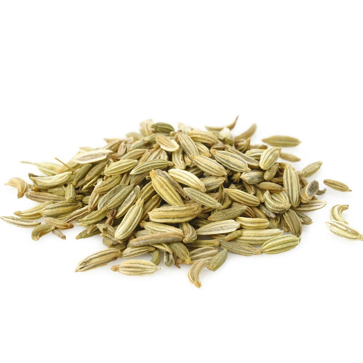 Fennel Seeds 1