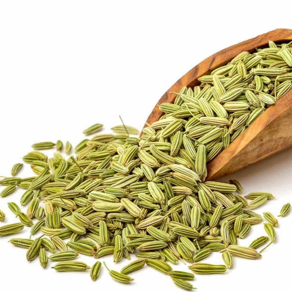 Fennel Seeds 3