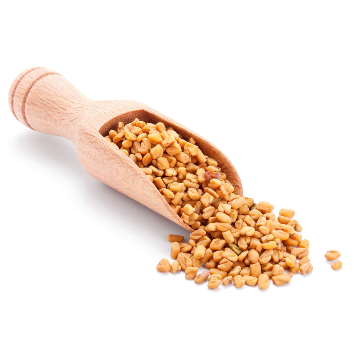 Fenugreek Seeds 1